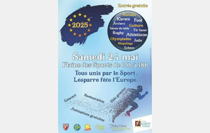 Animation Tir à l'arc . Fête de l'Europe  - Lesparre-Médoc 